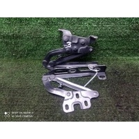 петля капота Opel Corsa D (2006-2015) 13311902