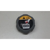 Крышка расширительного бачка Hyundai-Kia K5 2020 25330L1000