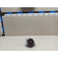 Насос водяной (помпа) Hyundai-Kia Carnival 2020 251002R000