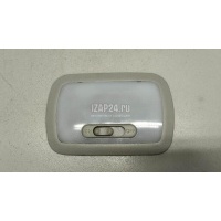 Плафон салонный Great Wall Jolion 2021 4123100XPW01AF4