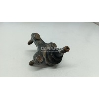 Опора шаровая правая передней подвески VAG Octavia (A4 1U-) (2000 - 2011) 1K0407366C