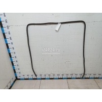 Уплотнитель двери Ford Focus II (2005 - 2008) 1495870