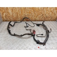 Проводка двигателя Mazda 6 GG 2005 7134258030,7134258050,71342580,XB8