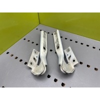 Петли капота Volkswagen Passat B5 1999 3B0823301A, 3B0823302A