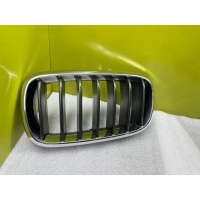 Решетка радиатора BMW X5 F15 2016 7294485, 7308660-02