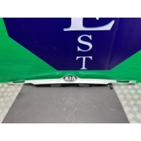 Ручка открывания багажника Kia Seltos SP2 2018 E87311Q5100, 81820Q5000, 81820-Q5000, E87311-Q5100, 87311Q5100