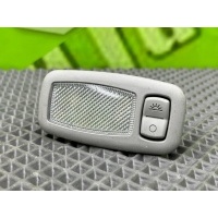 Плафон подсветки салона Kia Soul 3 SK 2020 92892-3S000, 928923S000, 928923S000WK, 928923S000ED, 928923S000BGA, 928923S000OM, 928923S000YGE, 928923S000NNB, 928923S000TTX
