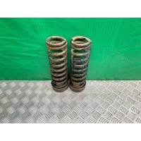 Пружины Mercedes-Benz 190 W201 1988 A2013242504, 2013242504, A2013242504, A2013243604, A2013242604, A2013242604, A2013250944, A2013251044, A2013251044
