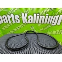 Уплотнитель двери Audi A4 B6 8E5 2003 8E9833721, 8E9833721F