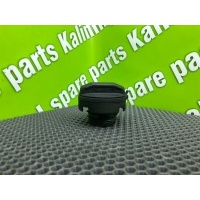 Крышка бака Audi A4 B6 8E5 2003 8E0201550, 1J0201553, 1J0201553C, 8E0201060CJ