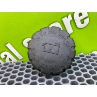Крышка расширительного бачка Mercedes-Benz C-Class W203 2002 A2105010715, 2105010715, A0005018215, A2105010615