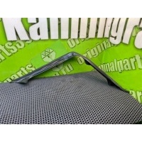 Водосток Mercedes-Benz C-Class W203 2002 A2036932433, 2036932433, A0009908492, N000000001517