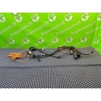 Проводка двери Bmw 3-Series E46 1999 61116913080, 61116913080, 8375409, 61116913080, 61126903089, 61126913082