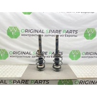 Стойки амортизаторов Bmw 3-Series E46 Touring 2004 31316750785, 31316750785, 31316750786, 31316750787, 31316750788, 31352241448, 31331093066