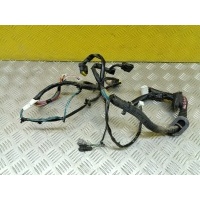 Проводка двери Nissan Pathfinder (R51M) 2004-2013 2010 241245X11B