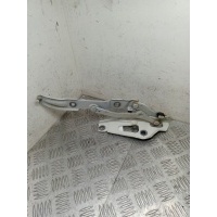 петля крышки багажника правая BMW 3 серия E90/E91/E92/E93 2010 7060628