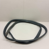 Уплотнитель двери Renault Logan (2005 - 2014) 6001547017