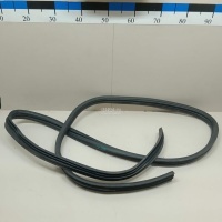 Уплотнитель двери Renault Logan (2005 - 2014) 6001547017