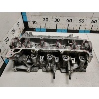 Головка блока Renault Megane II (2003 - 2009) 110412587R
