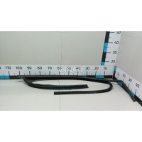 Уплотнитель стекла двери VAG Caddy III (2004 - 2015) 2K0837432B