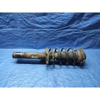 Амортизатор передний L=R Volkswagen Passat B6 (2005—2010) 3C2 3C5 3C0413031AE