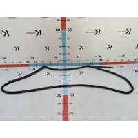 Уплотнитель Двери Hyundai Sonata DN8 2021 83140L1000