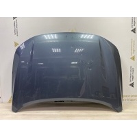 Капот Exeed LX T1C Рестайлинг 2022-2024 509000117AADYJ