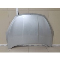 Капот Chery Chery Tiggo 4 2018-2023 J688402010DY