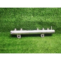 топливная рампа Opel Meriva A (2003-2010) 55211906