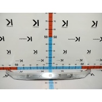 Молдинг капота Exeed VX 602000387AAACG, 602000387AA