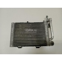 Радиатор масляный BMW X3 E83 (2004 - 2010) 17213448627