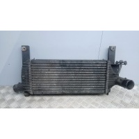 Радиатор интеркулера NISSAN PATHFINDER (2004-2010) 2007 14461EB360