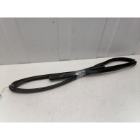 уплотнитель стекла двери Hyundai Sonata EF 8353038000