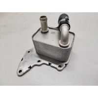Теплообменник Jaecoo J8 F4J20-1013010