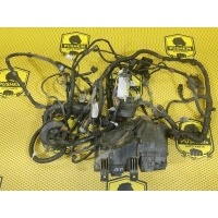 Проводка подкапотная Nissan Qashqai J10E 2008 24012JD10C