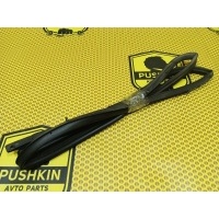 Уплотнитель на дверь Nissan Qashqai J10E 2008 80830JD000