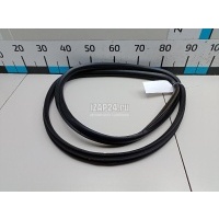 Уплотнитель стекла двери Hyundai-Kia Sportage (2004 - 2010) 871910Z000