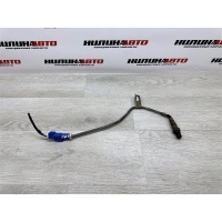 Датчик кислородный (лямбда-зонд) Ford Focus 2 2006 1536254, 3M519G444BC, 1536254