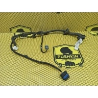 Проводка двери Nissan Qashqai J10E 2008 24127JD10B