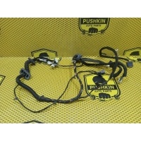 Проводка двери Nissan Qashqai J10E 2008 24124JD11B
