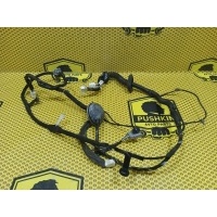 Проводка двери Nissan Qashqai J10E 2008 24125JD06D
