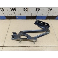 Петля крышки багажника PEUGEOT 408 2012> 8613C4