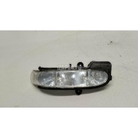 Повторитель в зеркало Mercedes Benz W211 E-Klasse (2002 - 2009) 2038201321