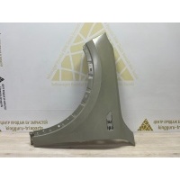 Крыло Lixiang L9 2022 - 2025 X0190000135