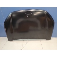 Капот Moskvich 3 2022- STMSV30150