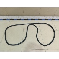 Уплотнитель двери Exeed TXL (M32T) 2019> 554000185AA