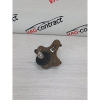 Шаровая опора Skoda Octavia A7 2018 5Q0407366A