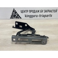 Петля капота Mercedes-Benz Gle-Class W167 A1678803600
