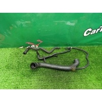 Патрубки охлаждения Mercedes-Benz S W220 2003 A2205010082