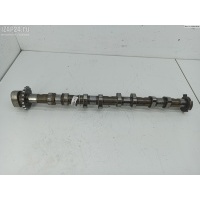 Распредвал Audi A4 B7 (2004-2008) 2005 06F109101B